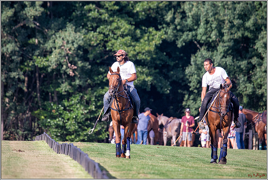 16. Polopicknick, 26.07.2019
