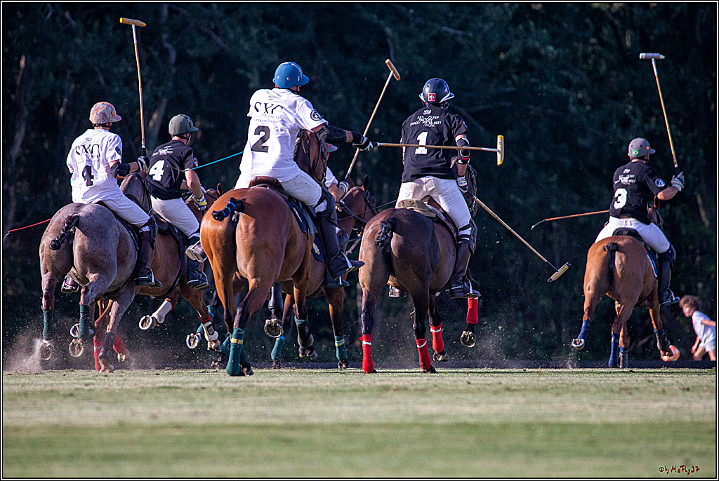 16. Polopicknick, 26.07.2019