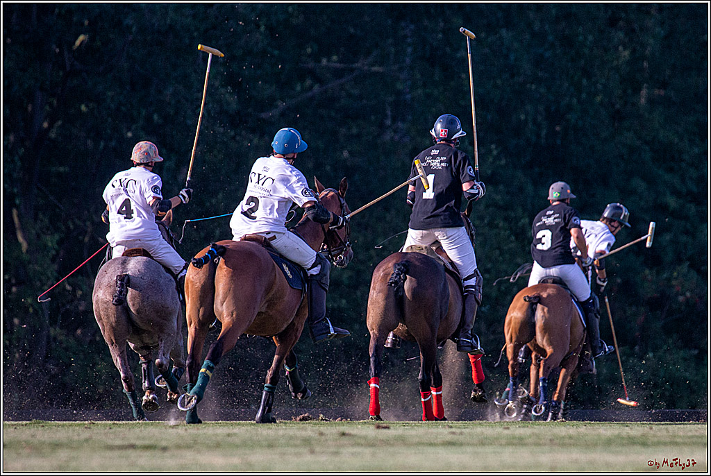 16. Polopicknick, 26.07.2019