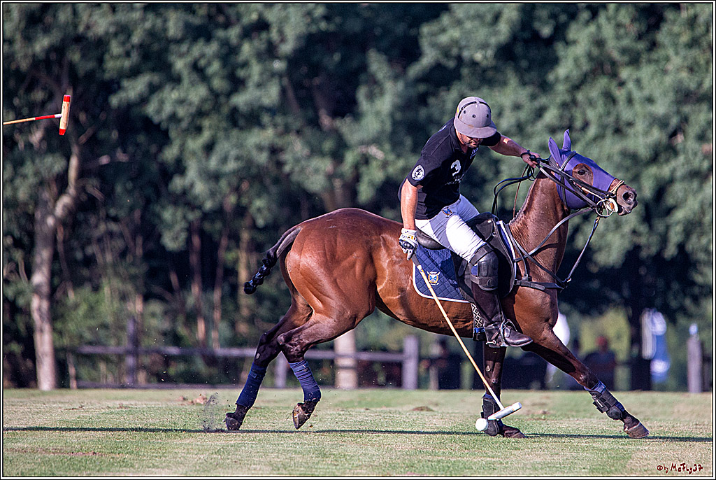 16. Polopicknick, 26.07.2019