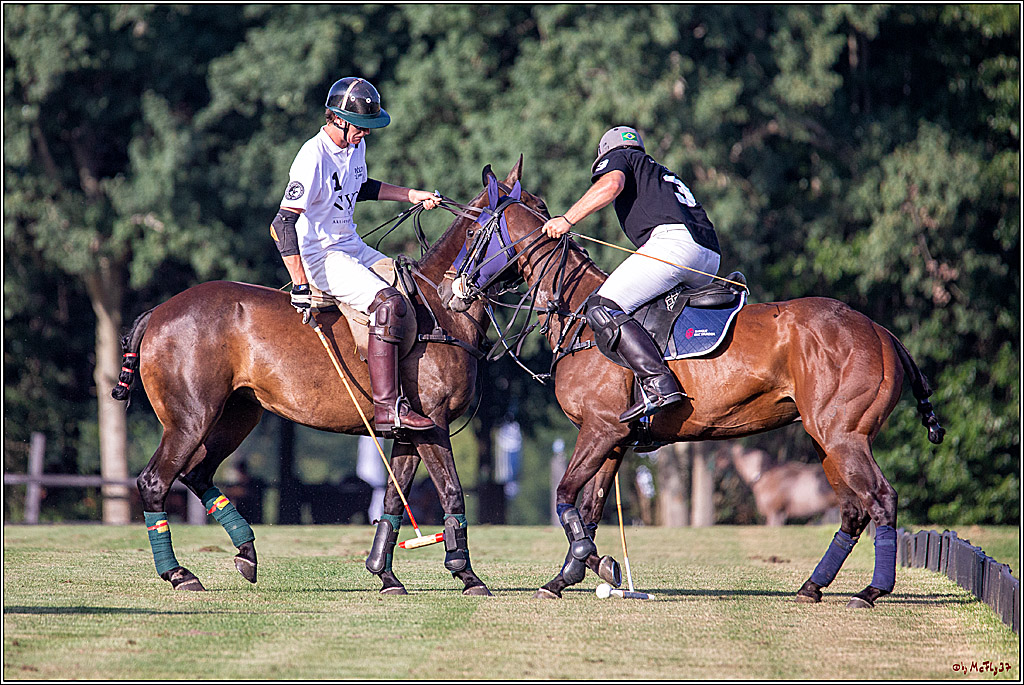 16. Polopicknick, 26.07.2019