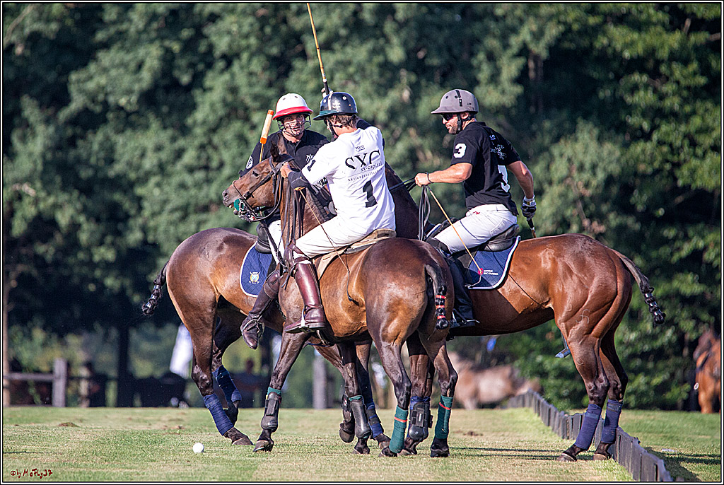 16. Polopicknick, 26.07.2019