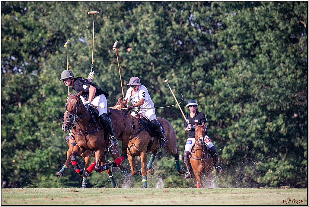 16. Polopicknick, 26.07.2019
