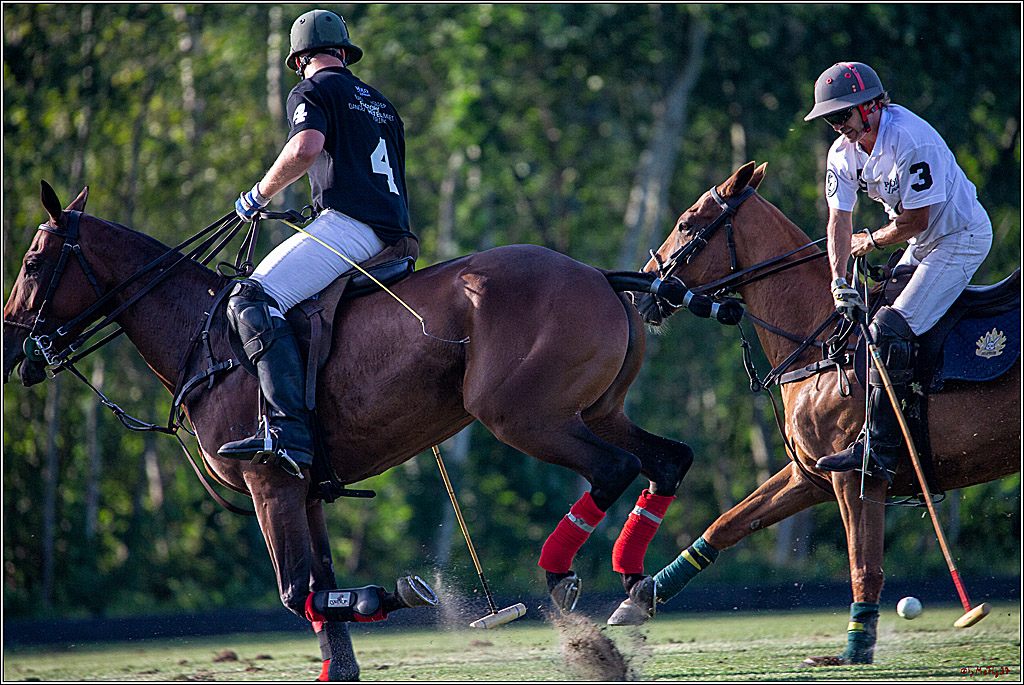16. Polopicknick, 26.07.2019