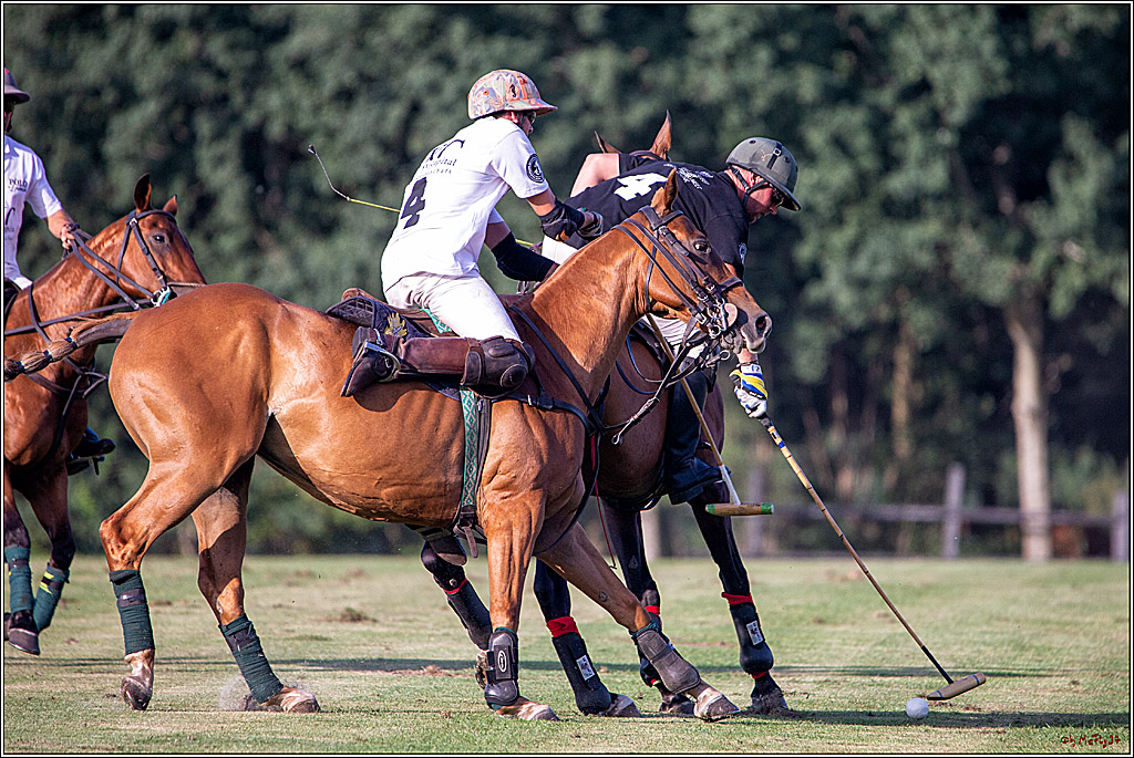 16. Polopicknick, 26.07.2019