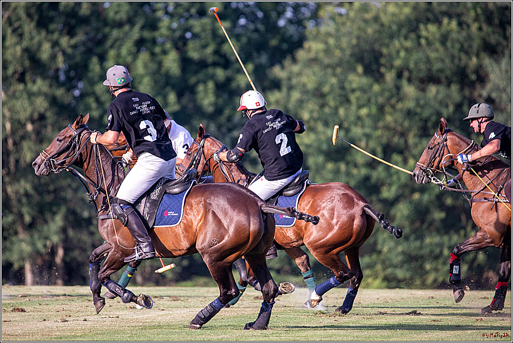 16. Polopicknick, 26.07.2019