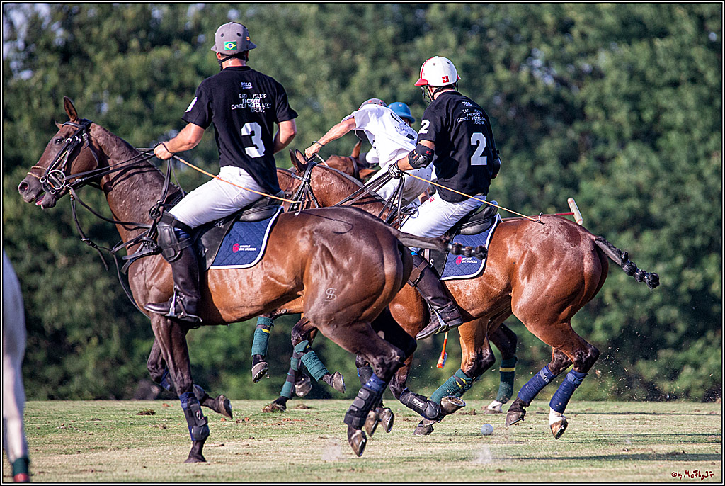 16. Polopicknick, 26.07.2019