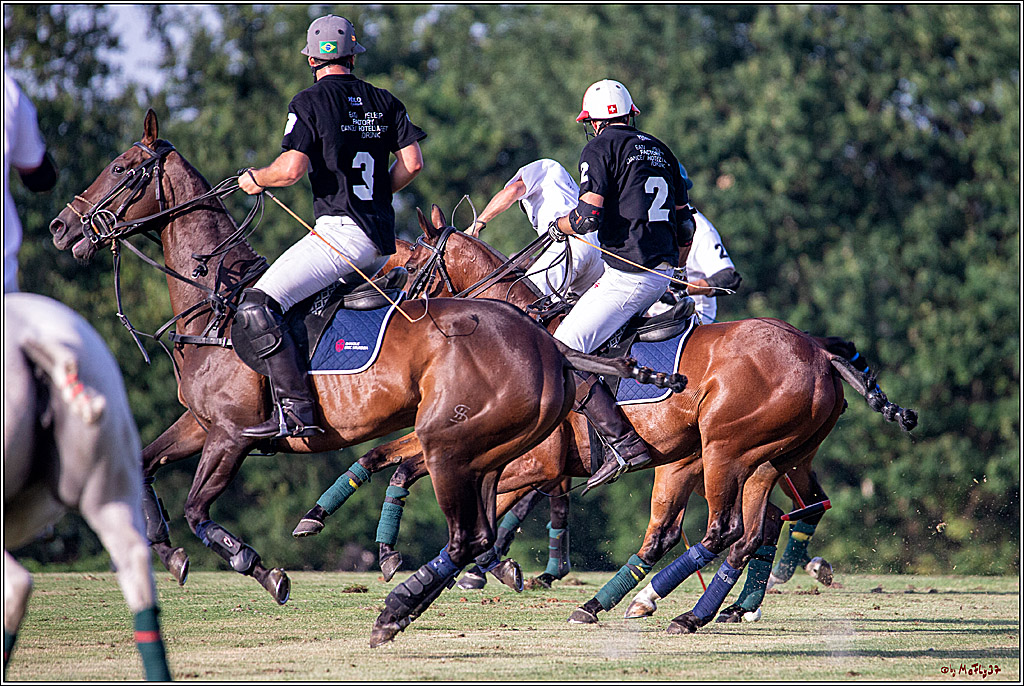 16. Polopicknick, 26.07.2019