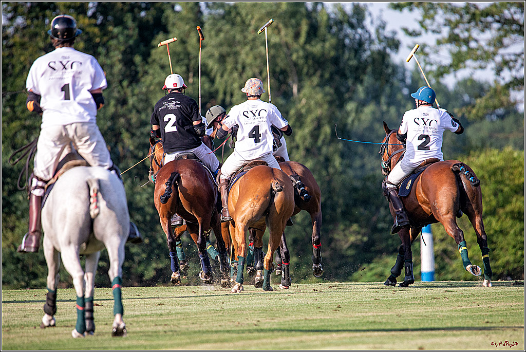 16. Polopicknick, 26.07.2019