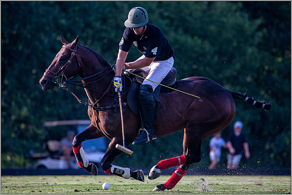 16. Polopicknick, 26.07.2019