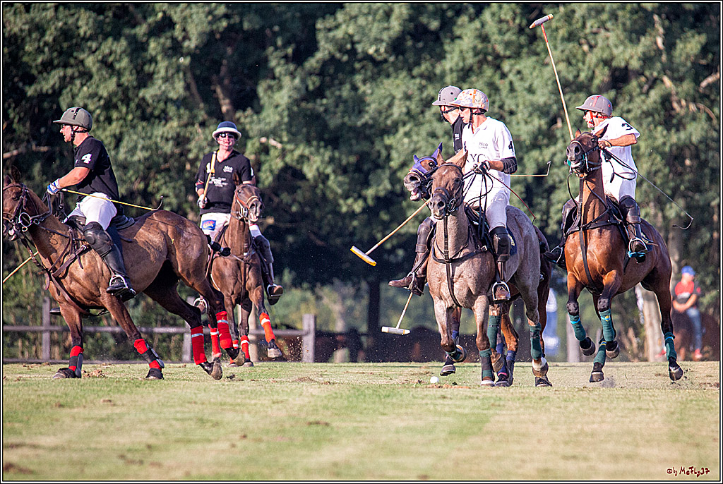 16. Polopicknick, 26.07.2019