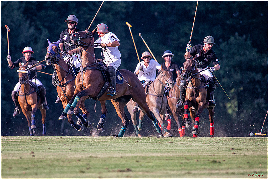16. Polopicknick, 26.07.2019