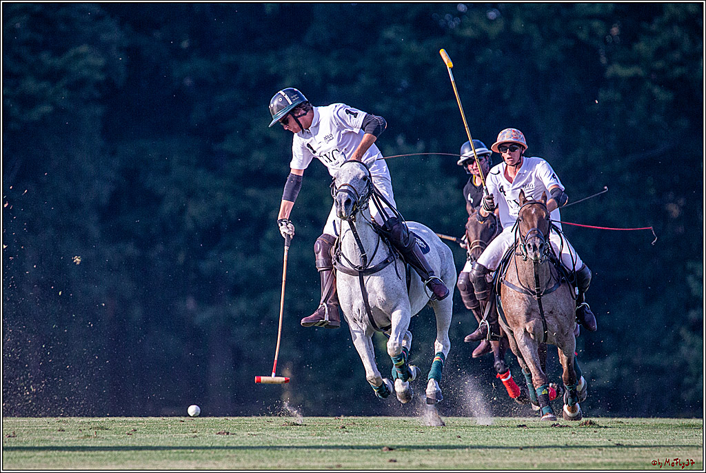 16. Polopicknick, 26.07.2019