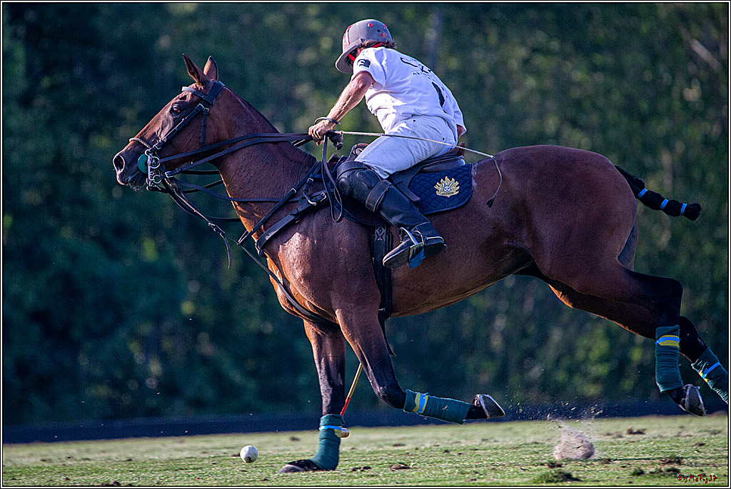 16. Polopicknick, 26.07.2019