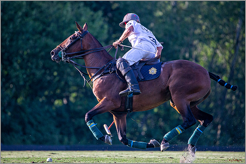 16. Polopicknick, 26.07.2019
