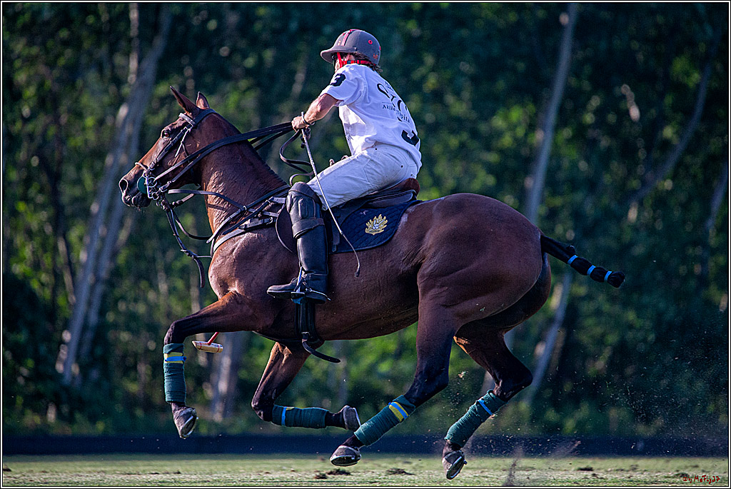 16. Polopicknick, 26.07.2019