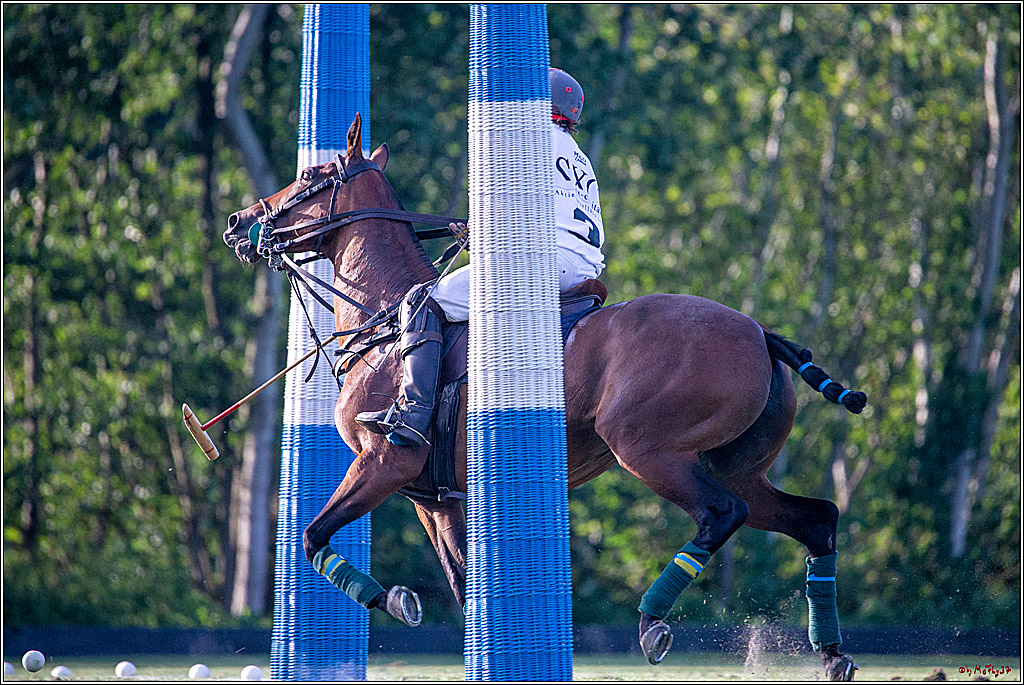 16. Polopicknick, 26.07.2019