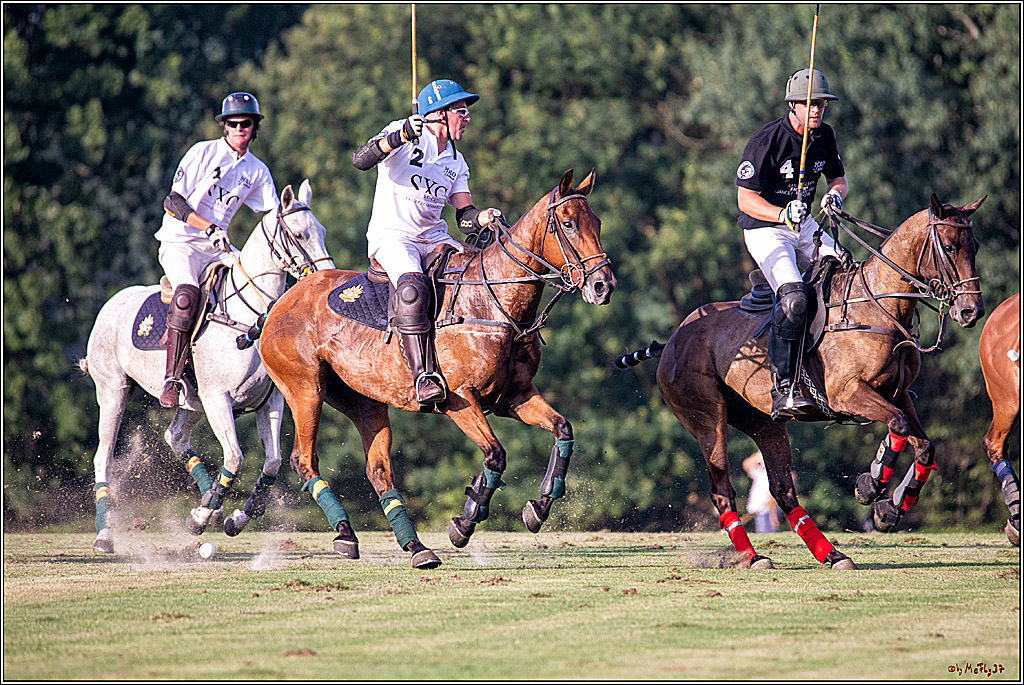 16. Polopicknick, 26.07.2019
