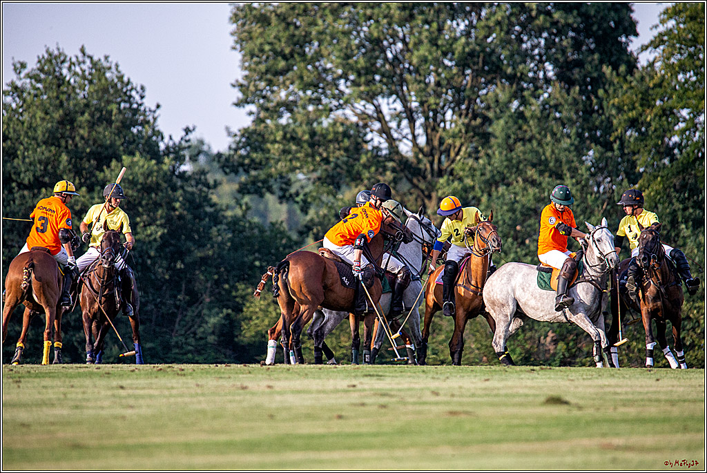 16. Polopicknick, 26.07.2019