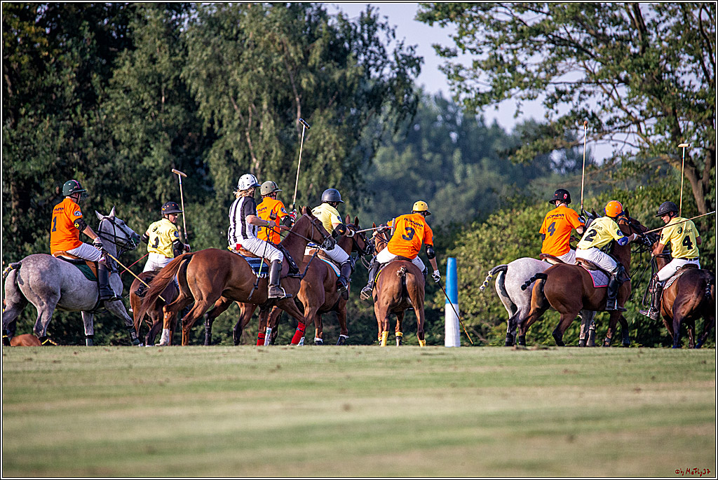 16. Polopicknick, 26.07.2019