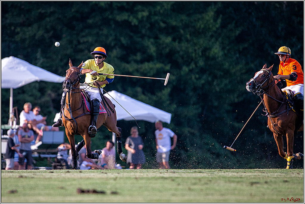 16. Polopicknick, 26.07.2019