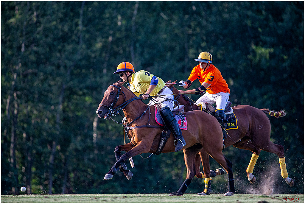 16. Polopicknick, 26.07.2019