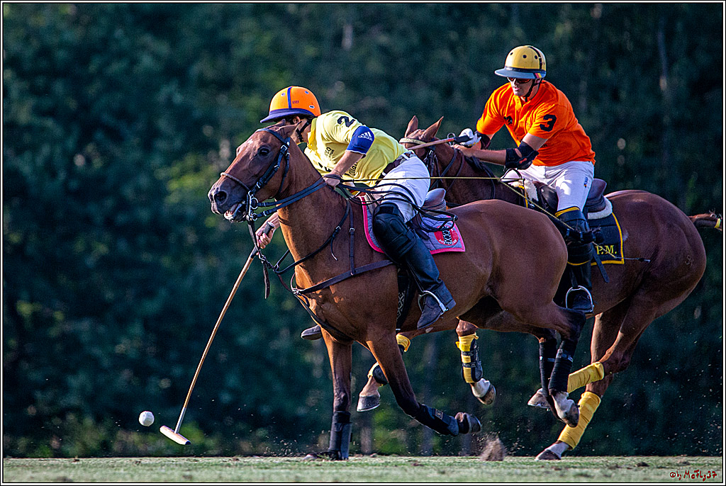 16. Polopicknick, 26.07.2019
