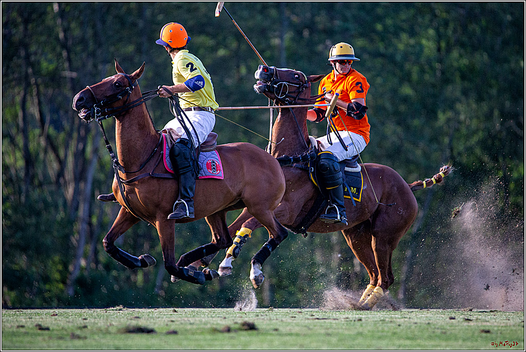 16. Polopicknick, 26.07.2019