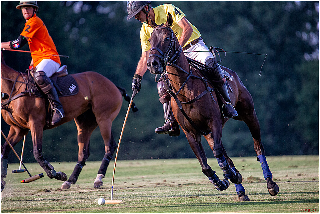 16. Polopicknick, 26.07.2019