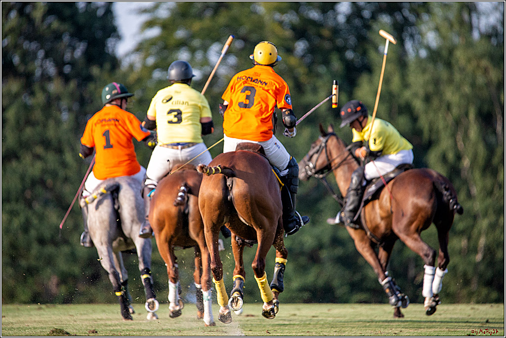 16. Polopicknick, 26.07.2019