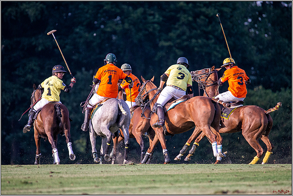 16. Polopicknick, 26.07.2019