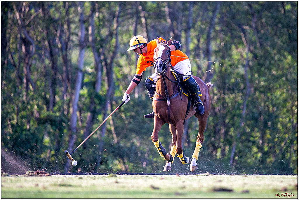 16. Polopicknick, 26.07.2019