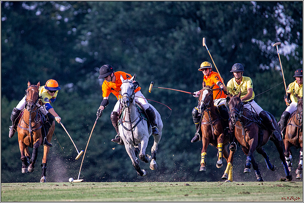 16. Polopicknick, 26.07.2019