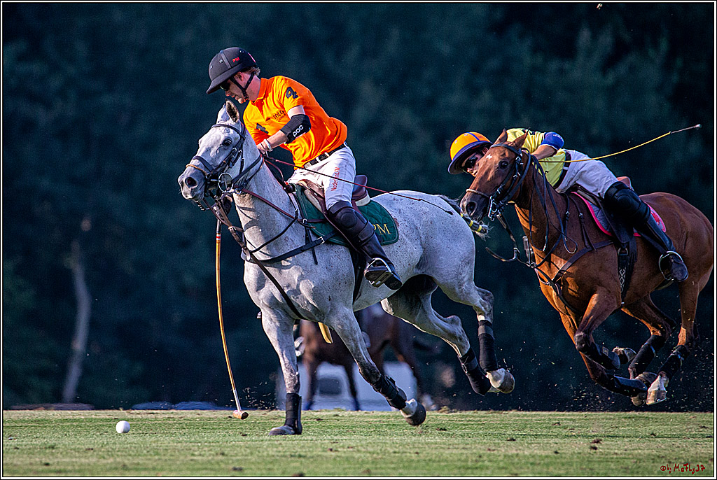 16. Polopicknick, 26.07.2019