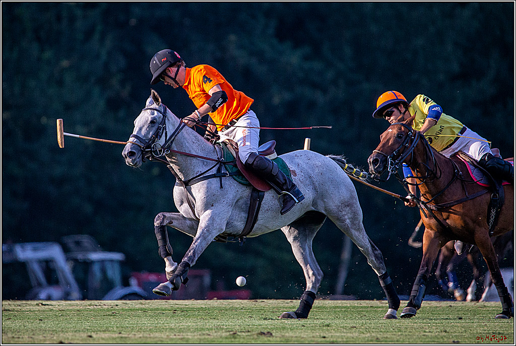 16. Polopicknick, 26.07.2019