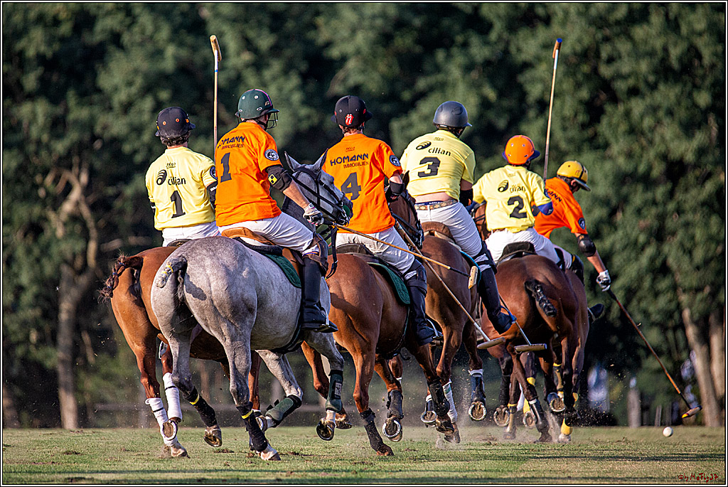 16. Polopicknick, 26.07.2019