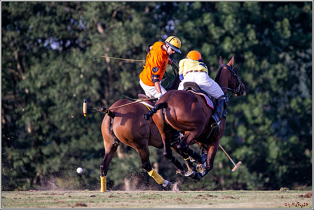 16. Polopicknick, 26.07.2019