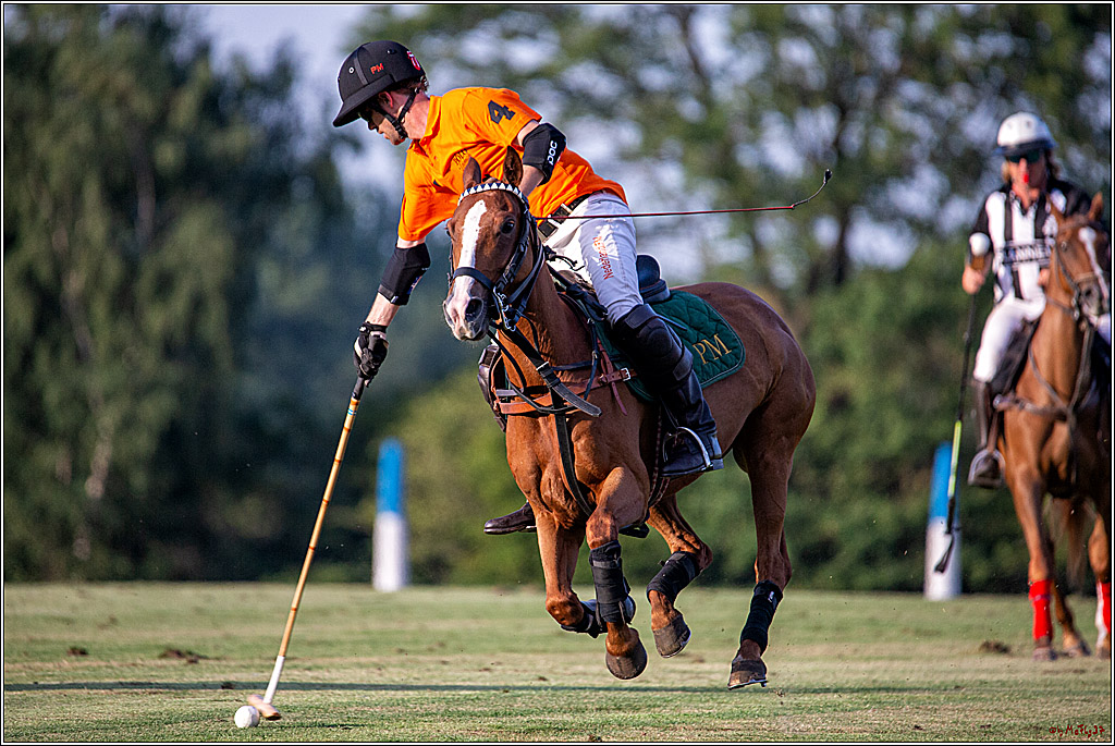 16. Polopicknick, 26.07.2019