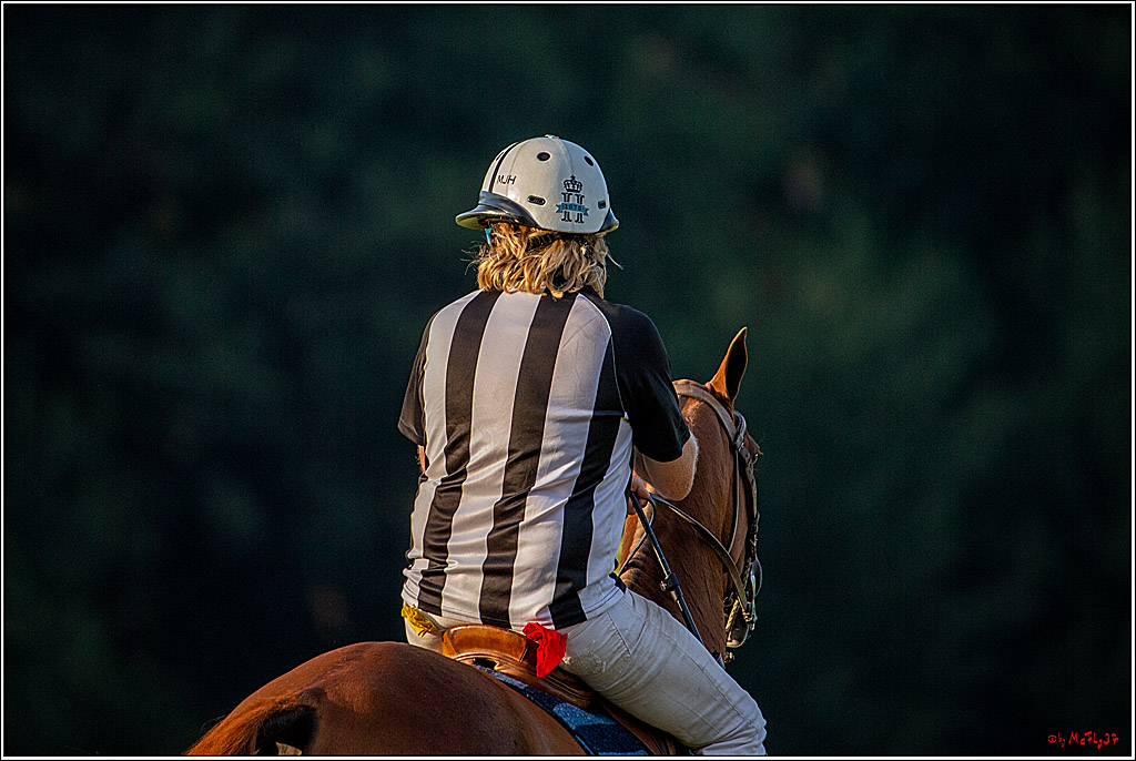 16. Polopicknick, 26.07.2019