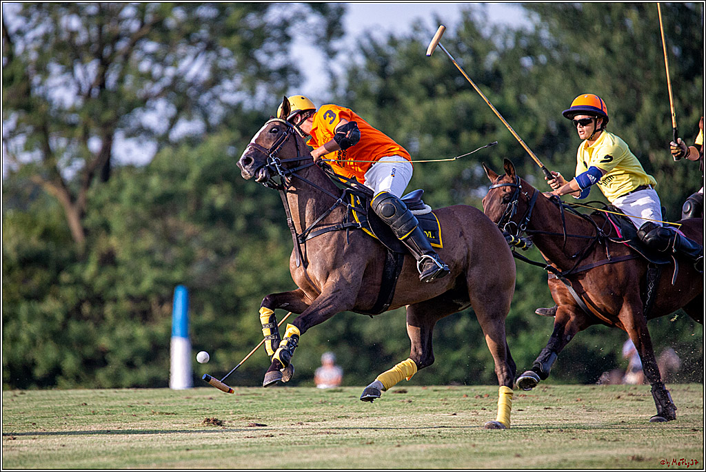 16. Polopicknick, 26.07.2019
