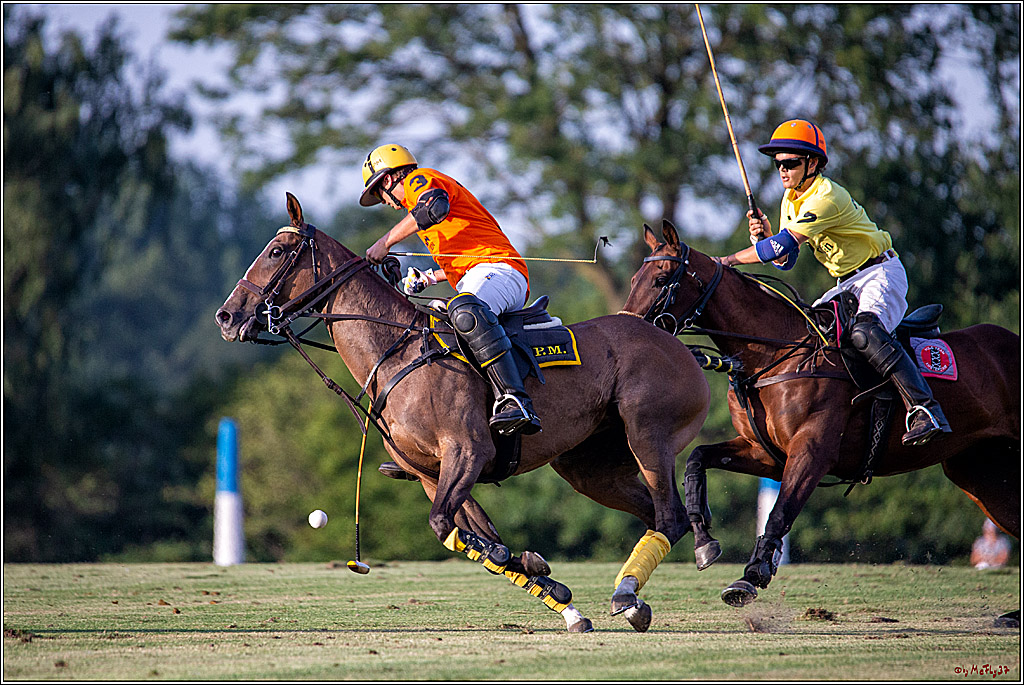 16. Polopicknick, 26.07.2019