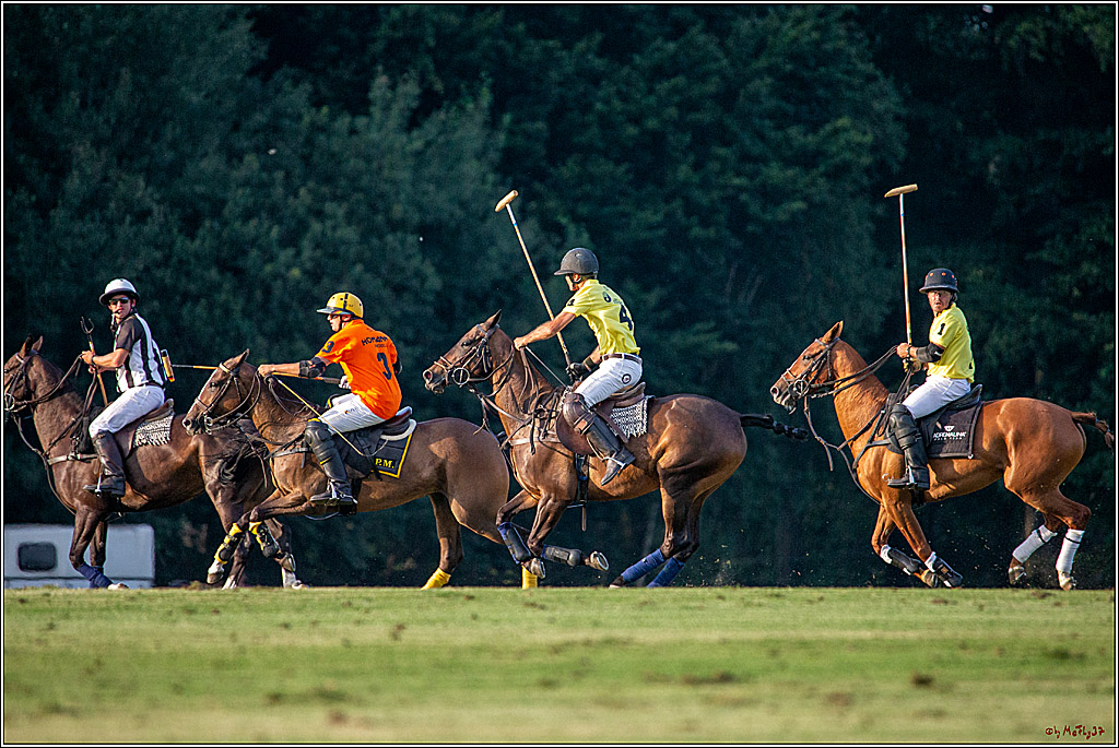 16. Polopicknick, 26.07.2019