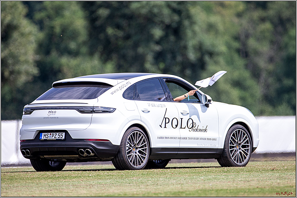 16. Polopicknick, 28.07.2019