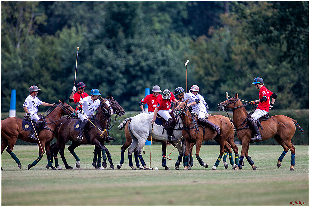 16. Polopicknick, 28.07.2019