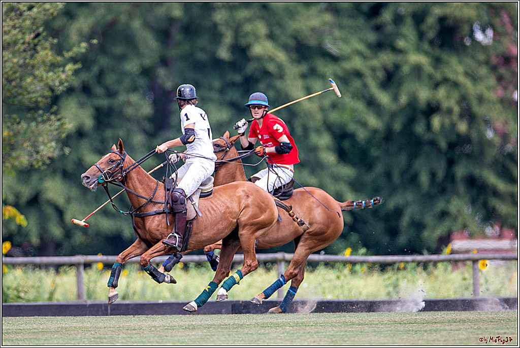 16. Polopicknick, 28.07.2019
