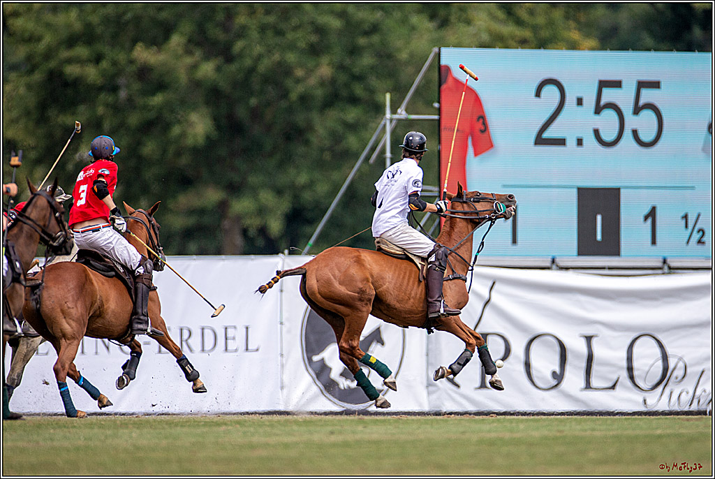 16. Polopicknick, 28.07.2019
