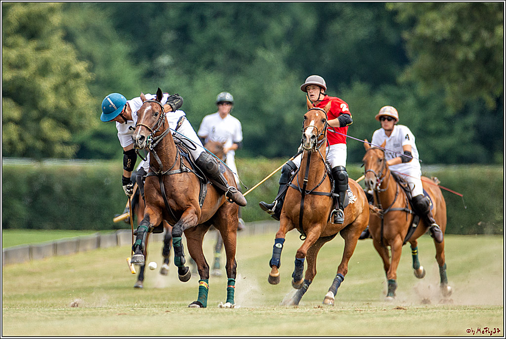 16. Polopicknick, 28.07.2019
