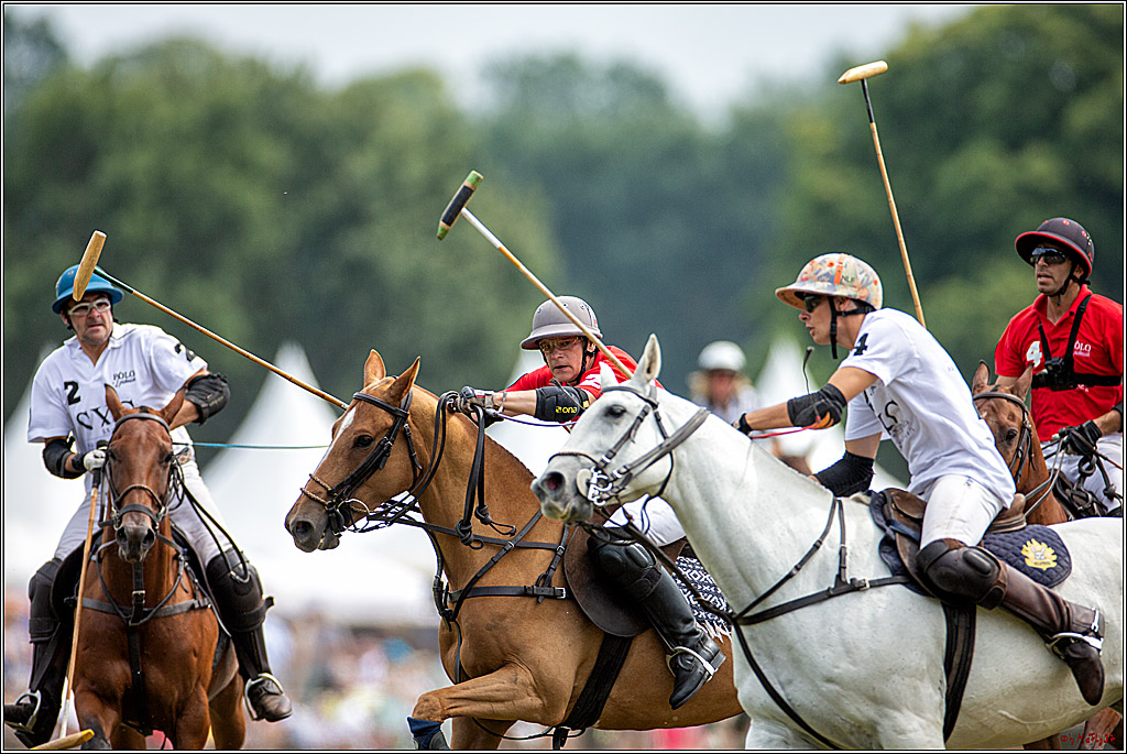 16. Polopicknick, 28.07.2019