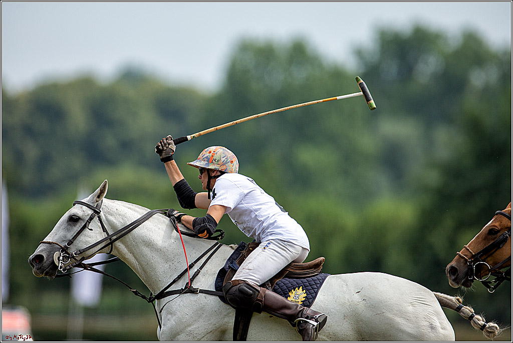 16. Polopicknick, 28.07.2019