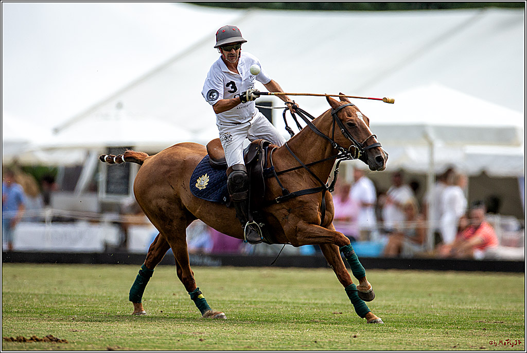 16. Polopicknick, 28.07.2019